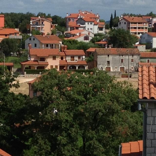 Apartments Bellavista Rovinjsko Selo Eksteriør bilde